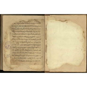 الابنیه عن الحقایق الادویه [روضه الانس و منفعه النفس]